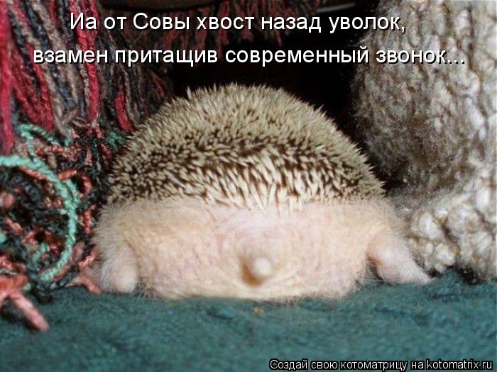 Котоматрица: Иа от Совы хвост назад уволок, взамен притащив современный звонок...