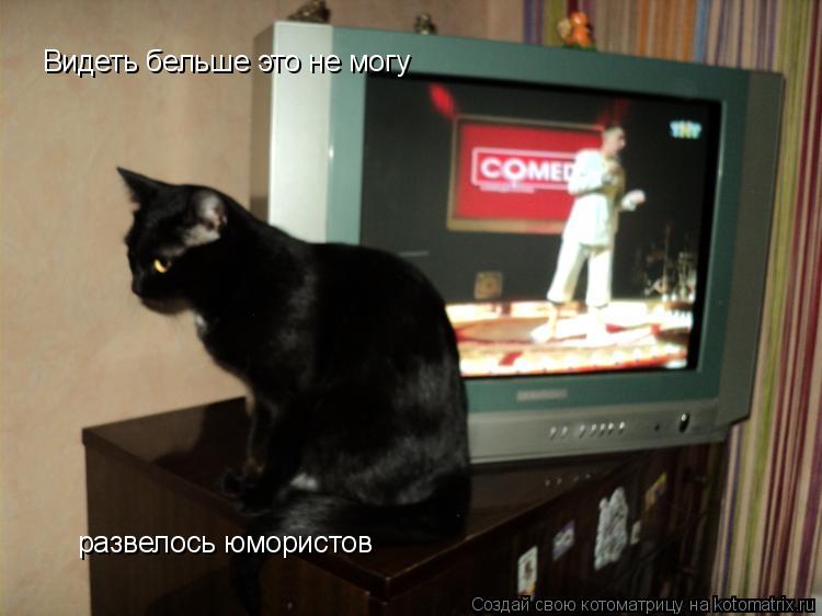 Видеть бельше это не могу развелось юмористов... Котоматрица: Видеть бельше это не могу развелось юмористов