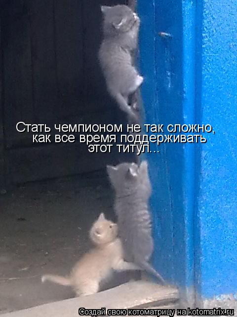 Стать чемпионом не так сложно, как все время поддерживать этот титул...... Котоматрица: Стать чемпионом не так сложно, как все время поддерживать этот титул...