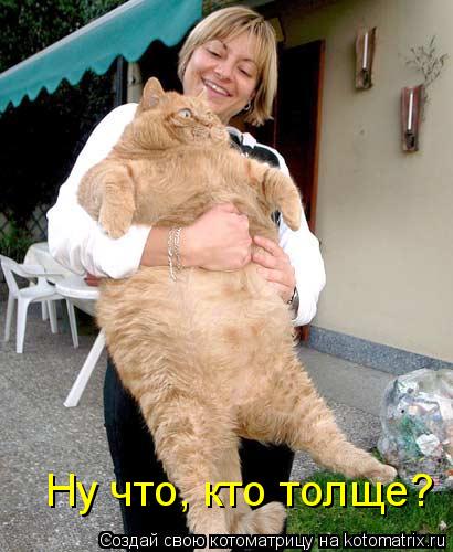 Ну что, кто толще?... Котоматрица: Ну что, кто толще?
