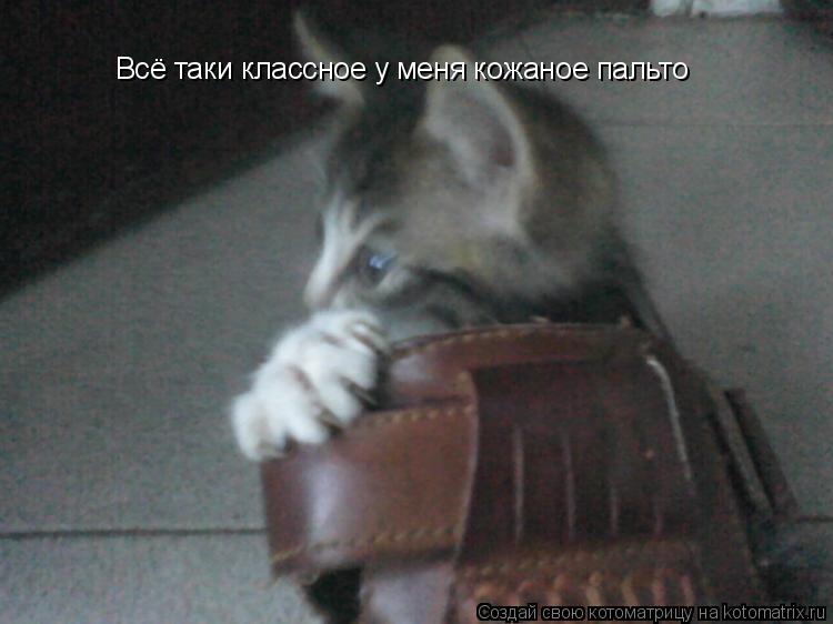 Всё таки классное у меня кожаное пальто... Котоматрица: Всё таки классное у меня кожаное пальто