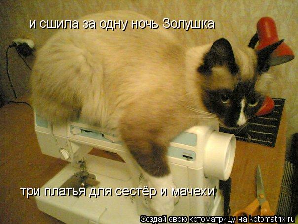 и сшила за одну ночь Золушка три платья для сестёр и мачехи... Котоматрица: и сшила за одну ночь Золушка три платья для сестёр и мачехи