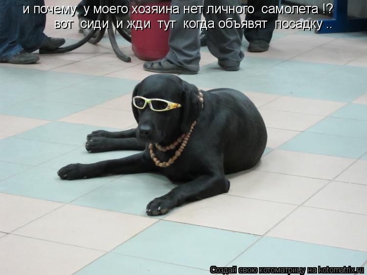 и почему у моего хозяина нет личного самолета !? вот сиди и жди тут когда объявят посадку ..... Котоматрица: и почему у моего хозяина нет личного самолета !? вот сиди и жди тут когда объявят посадку ..