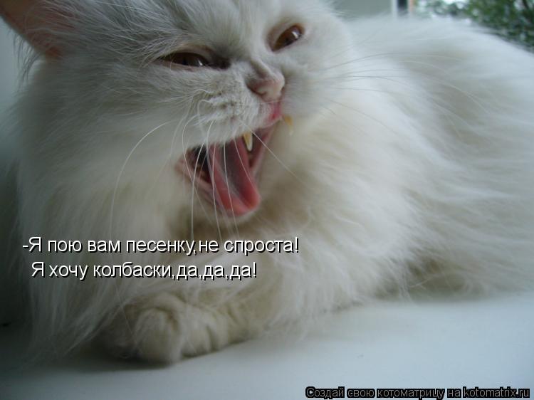 -Я пою вам песенку,не спроста! Я хочу колбаски,да,да,да!... Котоматрица: -Я пою вам песенку,не спроста! Я хочу колбаски,да,да,да!