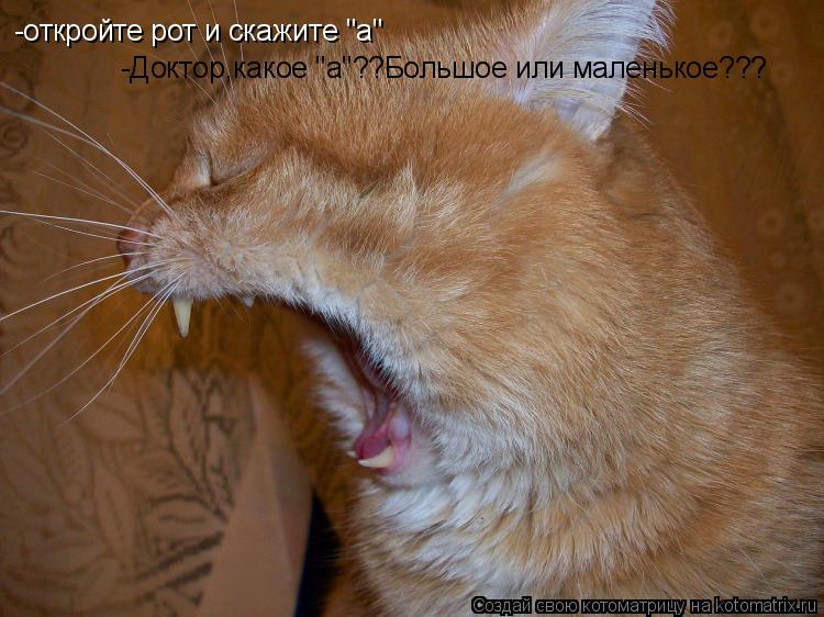 -откройте рот и скажите "а" -Доктор,какое "а"??Большое или маленькое???... Котоматрица: -откройте рот и скажите "а" -Доктор,какое "а"??Большое или маленькое???
