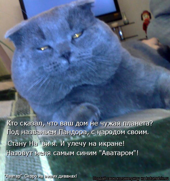 Стану На`ви я. И улечу на икране! Кто сказал, что ваш дом не чужая планета? Под названьем Пандора, с ... Котоматрица: Стану На`ви я. И улечу на икране! Кто сказал, что ваш дом не чужая планета? Под названьем Пандора, с народом своим. Назовут меня самым синим "Ав