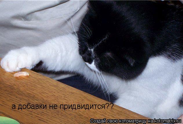 а добавки не придвидится??... Котоматрица: а добавки не придвидится??