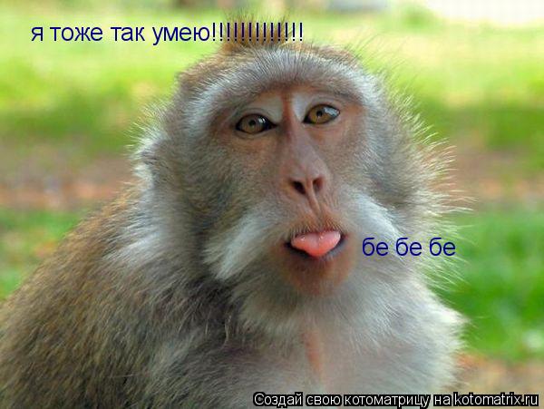 я тоже так умею!!!!!!!!!!!!! бе бе бе... Котоматрица: я тоже так умею!!!!!!!!!!!!! бе бе бе