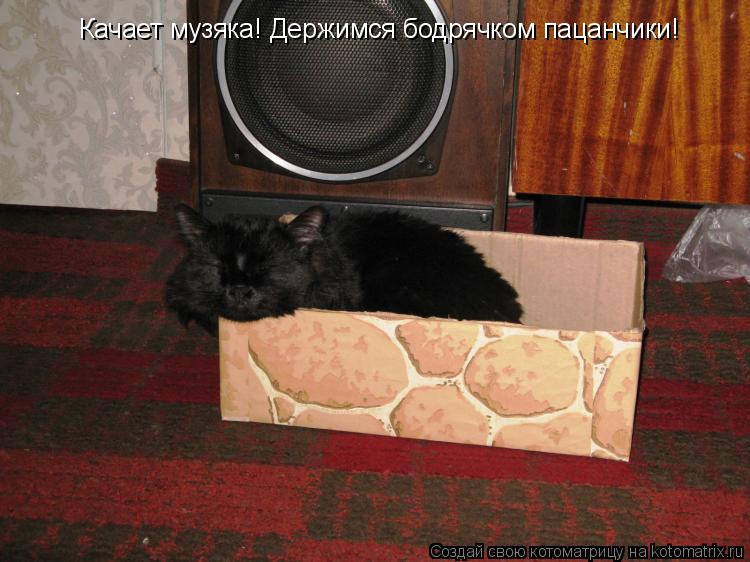 Качает музяка! Держимся бодрячком пацанчики!... Котоматрица: Качает музяка! Держимся бодрячком пацанчики!