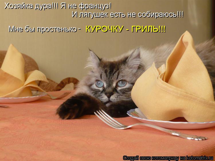 Хозяйка дура!!! Я не француз! И лягушек есть не собираюсь!!! Мне бы простенько - КУРОЧКУ - ГРИЛЬ!!!... Котоматрица: Хозяйка дура!!! Я не француз! И лягушек есть не собираюсь!!! Мне бы простенько - КУРОЧКУ - ГРИЛЬ!!!