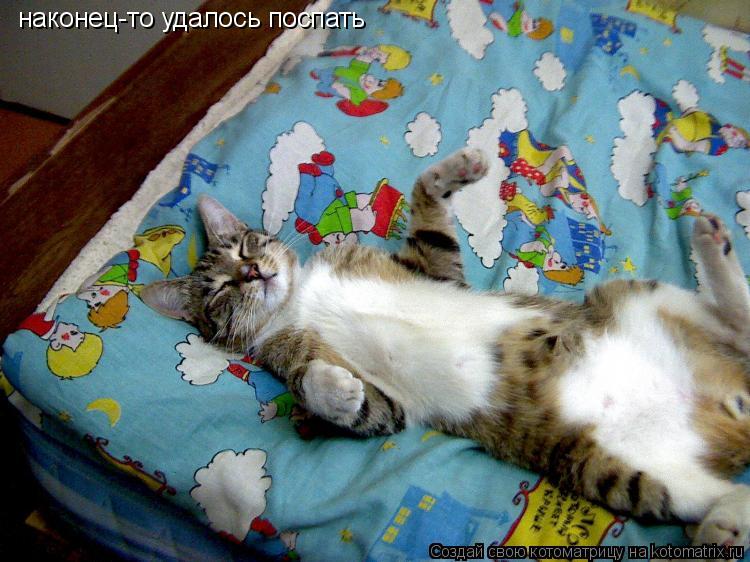 наконец-то удалось поспать... Котоматрица: наконец-то удалось поспать