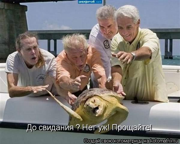 До свидания ? Нет уж! Прощайте!... Котоматрица: До свидания ? Нет уж! Прощайте!