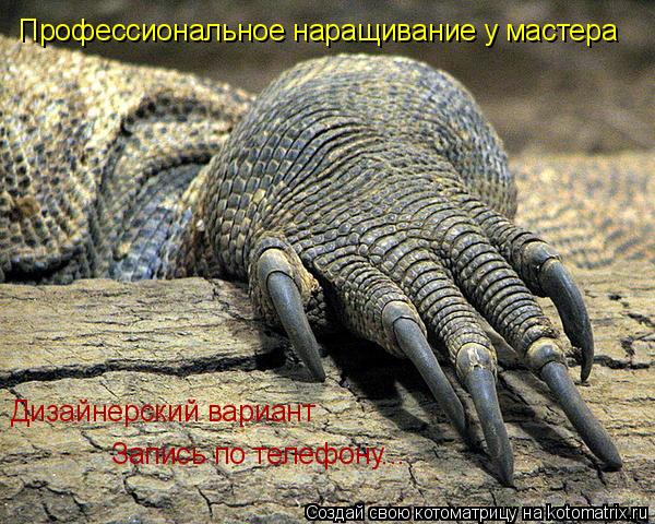 Профессиональное наращивание у мастера Дизайнерский вариант Запись по телефону...... Котоматрица: Профессиональное наращивание у мастера Дизайнерский вариант Запись по телефону...