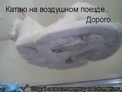 Катаю на воздушном поезде.. Дорого...... Котоматрица: Катаю на воздушном поезде.. Дорого...