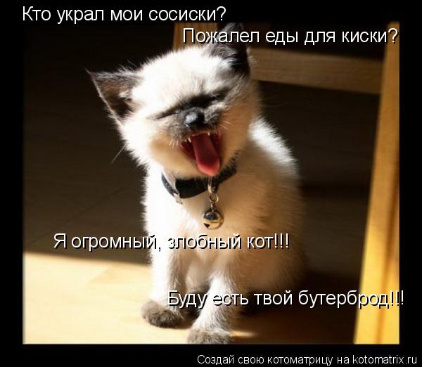Кто украл мои сосиски? Пожалел еды для киски? Я огромный, злобный кот!!! Буду есть твой бутерброд!!!... Котоматрица: Кто украл мои сосиски? Пожалел еды для киски? Я огромный, злобный кот!!! Буду есть твой бутерброд!!!