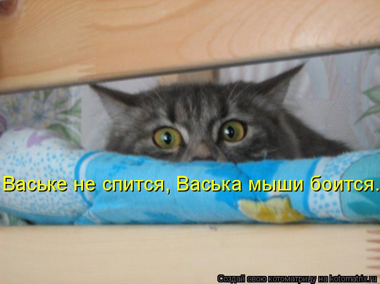 Котоматрица: Ваське не спится, Васька мыши боится...
