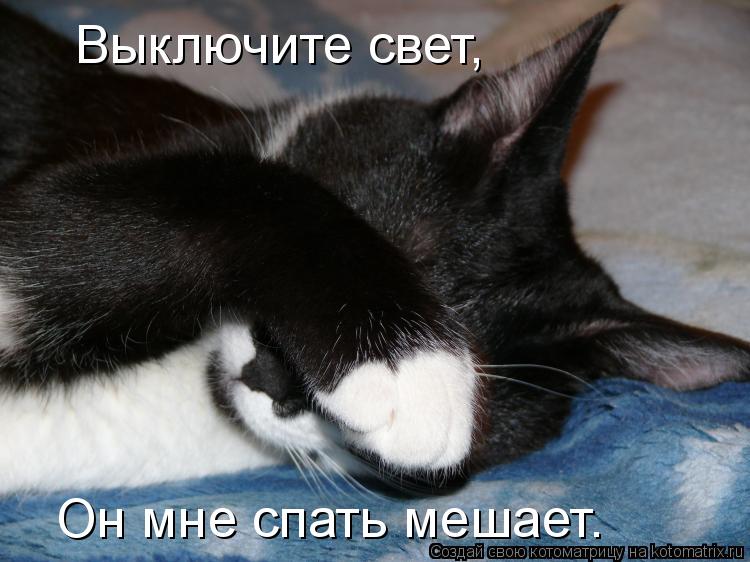 Выключите свет, Он мне спать мешает.... Котоматрица: Выключите свет, Он мне спать мешает.