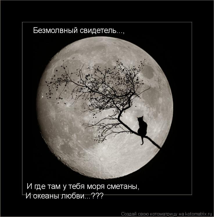 Безмолвный свидетель..., И где там у тебя моря сметаны, И океаны любви...???... Котоматрица: Безмолвный свидетель..., И где там у тебя моря сметаны, И океаны любви...???