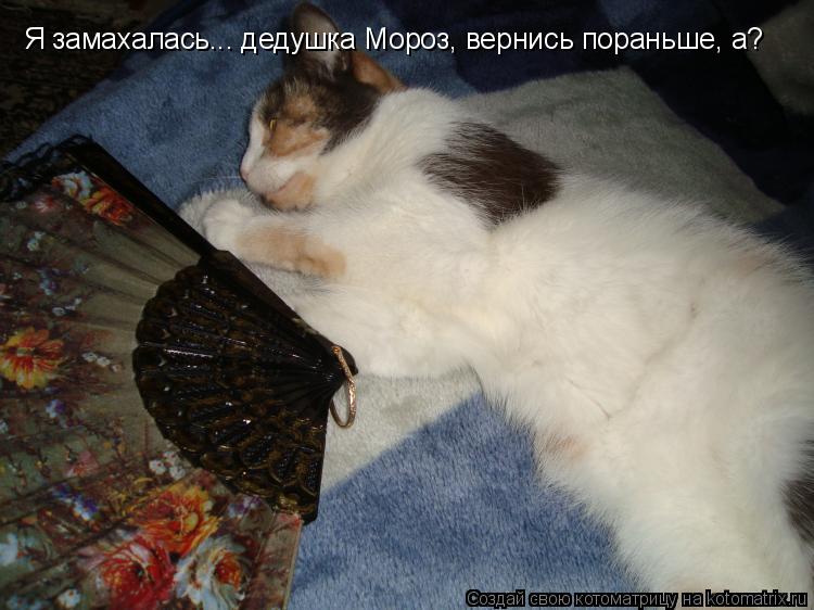 Я замахалась... дедушка Мороз, вернись пораньше, а?... Котоматрица: Я замахалась... дедушка Мороз, вернись пораньше, а?