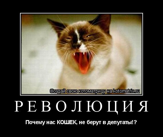 РЕВОЛЮЦИЯ Почему нас КОШЕК, не берут в депутаты!?... Котоматрица: РЕВОЛЮЦИЯ Почему нас КОШЕК, не берут в депутаты!?