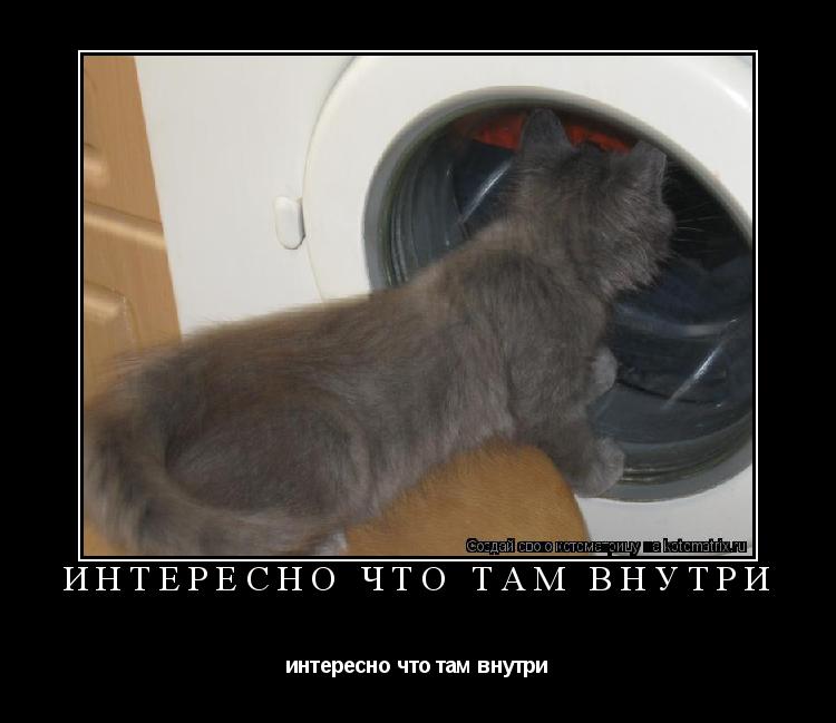 интересно что там внутри интересно что там внутри... Котоматрица: интересно что там внутри интересно что там внутри