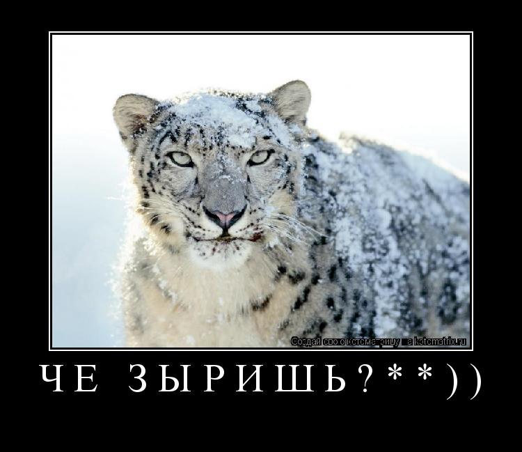 чё зыришь?**)) ... Котоматрица: чё зыришь?**))