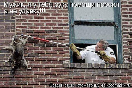 Мужик, я у тебя руку помощи просил, а не удавку!!!... Котоматрица: Мужик, я у тебя руку помощи просил, а не удавку!!!