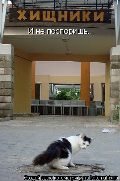 Котоматрица: И не поспоришь...