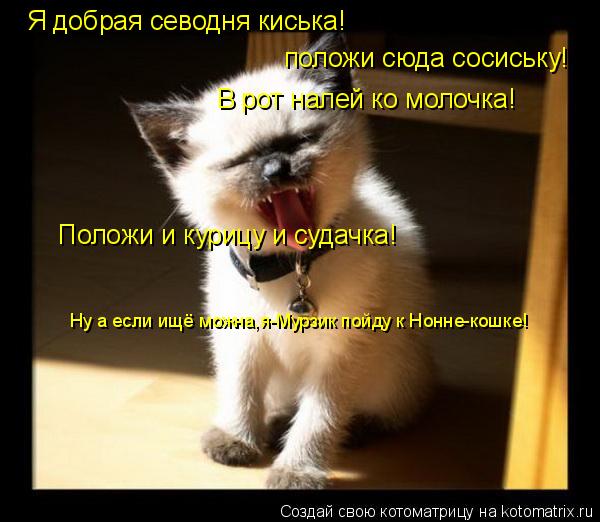 Я добрая севодня киська! положи сюда сосиську! В рот налей ко молочка! Положи и курицу и судачка! Ну ... Котоматрица: Я добрая севодня киська! положи сюда сосиську! В рот налей ко молочка! Положи и курицу и судачка! Ну а если ищё можна,я-Мурзик пойду к Нонне-ко