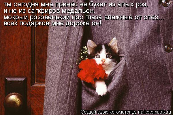Котоматрица: и не из сапфиров медальон. мокрый,розовенький нос,глаза влажные от слёз... ты сегодня мне принёс не букет из алых роз, всех подарков мне дорож
