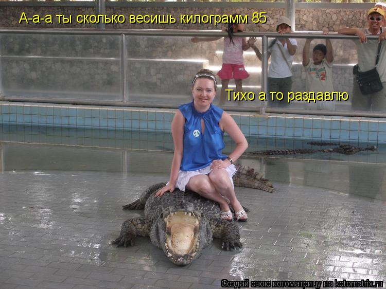 Котоматрица: А-а-а ты сколько весишь килограмм 85 Тихо а то раздавлю