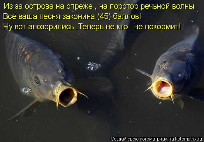 Котоматрица: Из за острова на спреже , на порстор речьной волны Всё ваша песня законина (45) баллов! Ну вот апозорились .Теперь не кто , не покормит!