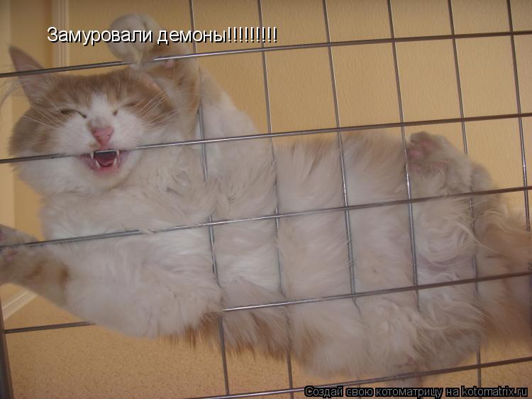 Замуровали демоны!!!!!!!!!... Котоматрица: Замуровали демоны!!!!!!!!!