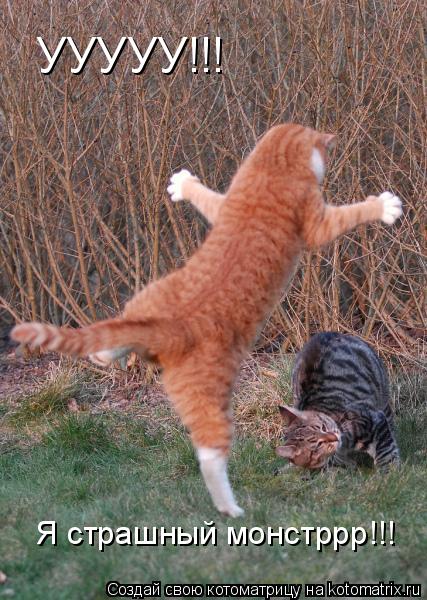 УУУУУ!!! Я страшный монстррр!!!... Котоматрица: УУУУУ!!! Я страшный монстррр!!!