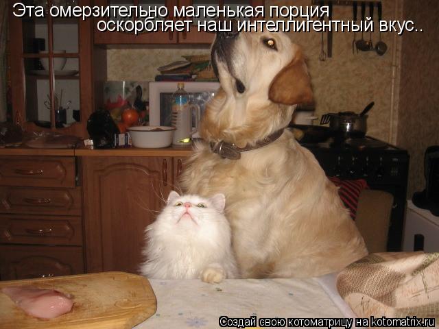 Эта омерзительно маленькая порция оскорбляет наш интеллигентный вкус..... Котоматрица: Эта омерзительно маленькая порция оскорбляет наш интеллигентный вкус..