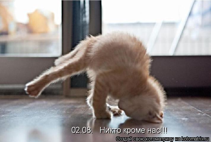 02.08. Никто кроме нас!!!... Котоматрица: 02.08. Никто кроме нас!!!