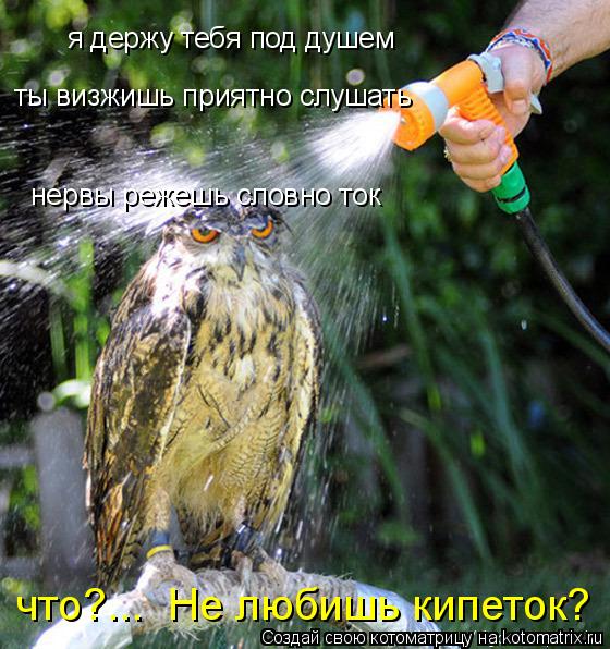 я держу тебя под душем ты визжишь приятно слушать нервы режешь словно ток что?... Не любишь кипеток?... Котоматрица: я держу тебя под душем ты визжишь приятно слушать нервы режешь словно ток что?... Не любишь кипеток?