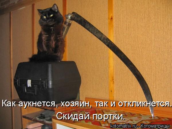 Как аукнется, хозяин, так и откликнется. Скидай портки.... Котоматрица: Как аукнется, хозяин, так и откликнется. Скидай портки.