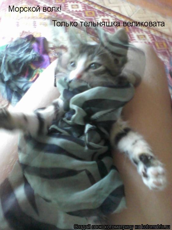 Морской волк! Только тельняшка великовата... Котоматрица: Морской волк! Только тельняшка великовата