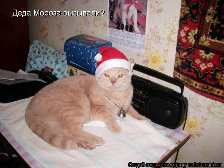 Деда Мороза вызывали?... Котоматрица: Деда Мороза вызывали?