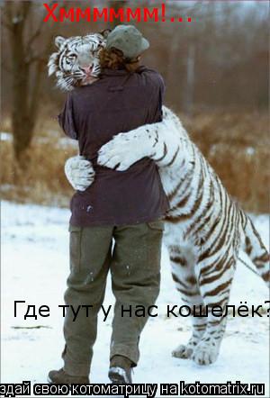 Хмммммм!... Где тут у нас кошелёк?... Котоматрица: Хмммммм!... Где тут у нас кошелёк?