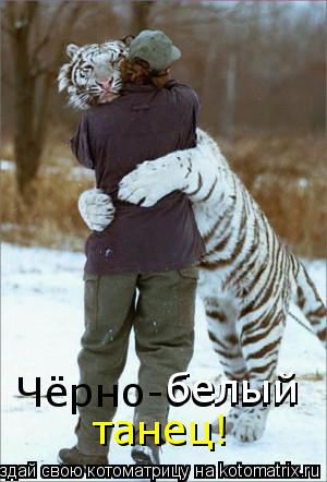 Чёрно-белый белый танец!... Котоматрица: Чёрно-белый белый танец!
