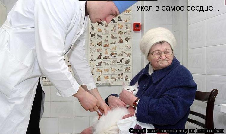 Укол в самое сердце...... Котоматрица: Укол в самое сердце...
