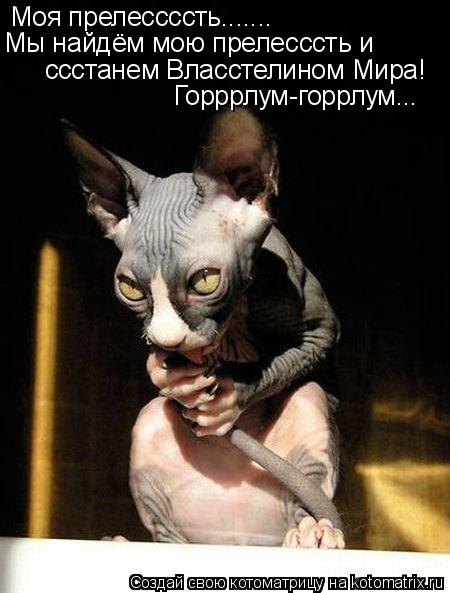Моя прелессссть....... Мы найдём мою прелесссть и ссстанем Власстелином Мира! Горррлум-горрлум...... Котоматрица: Моя прелессссть....... Мы найдём мою прелесссть и ссстанем Власстелином Мира! Горррлум-горрлум...