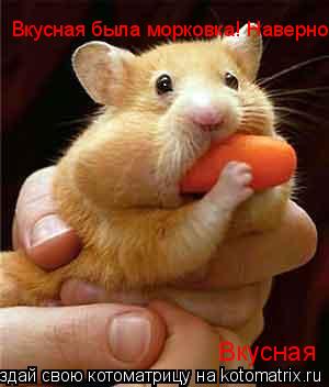 Вкусная была морковка! Наверно? Вкусная... Котоматрица: Вкусная была морковка! Наверно? Вкусная