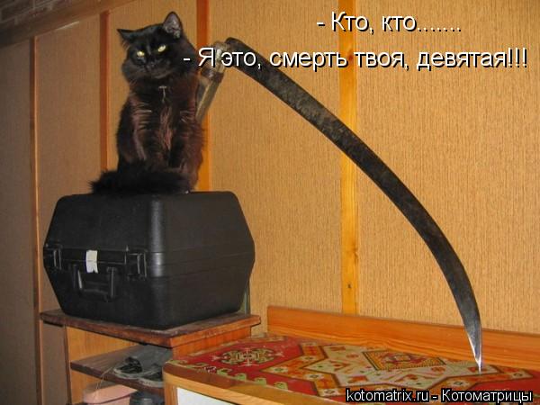 - Кто, кто....... - Я это, смерть твоя, девятая!!!... Котоматрица: - Кто, кто....... - Я это, смерть твоя, девятая!!!