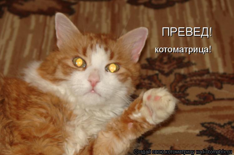ПРЕВЕД! котоматрица!... Котоматрица: ПРЕВЕД! котоматрица!