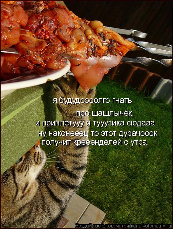 я будудоооолго гнать про шашлычёк, и приплетууу я тууузика сюдааа ну наконееец то этот дурачооок пол... Котоматрица: я будудоооолго гнать про шашлычёк, и приплетууу я тууузика сюдааа ну наконееец то этот дурачооок получит крееенделей с утра.