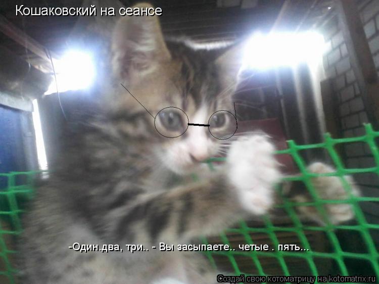 Кошаковский на сеансе -Один.два, три.. - Вы засыпаете.. четые . пять...... Котоматрица: Кошаковский на сеансе -Один.два, три.. - Вы засыпаете.. четые . пять...
