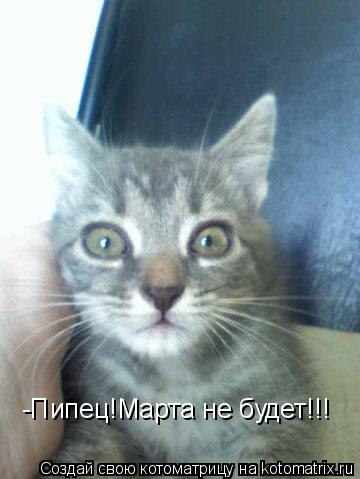 -Пипец!Марта не будет!!!... Котоматрица: -Пипец!Марта не будет!!!